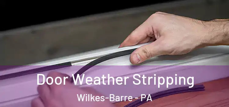 Door Weather Stripping Wilkes-Barre - PA