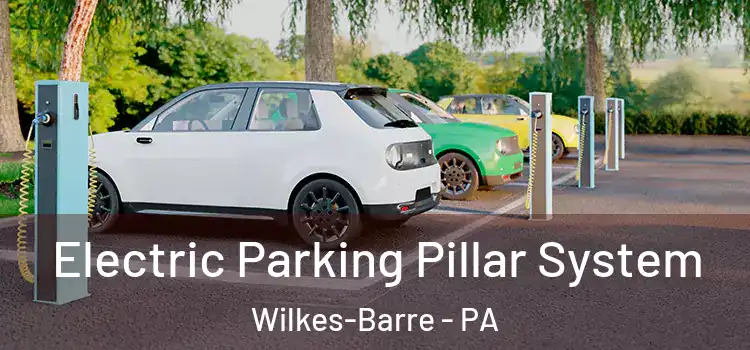 Electric Parking Pillar System Wilkes-Barre - PA