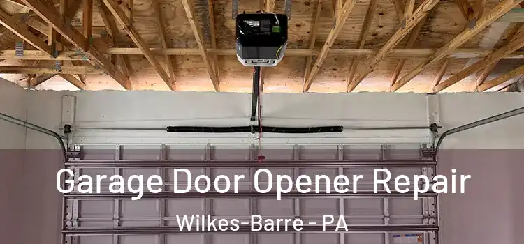  Garage Door Opener Repair Wilkes-Barre - PA
