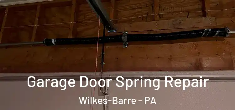  Garage Door Spring Repair Wilkes-Barre - PA
