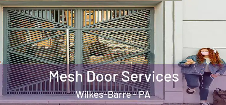  Mesh Door Services Wilkes-Barre - PA
