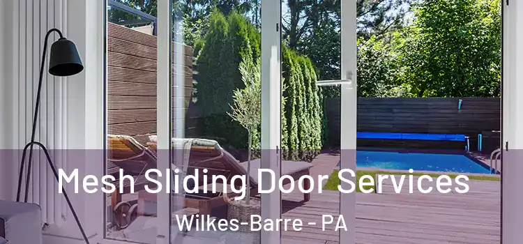 Mesh Sliding Door Services Wilkes-Barre - PA