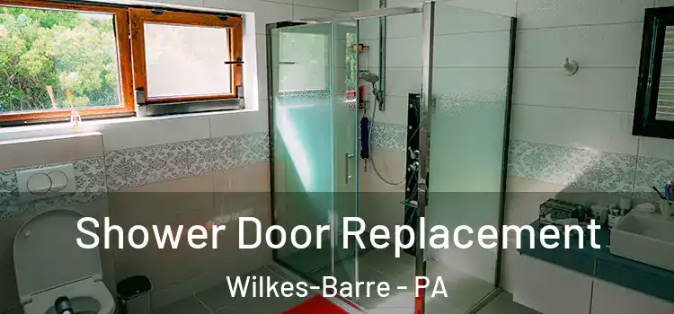  Shower Door Replacement Wilkes-Barre - PA